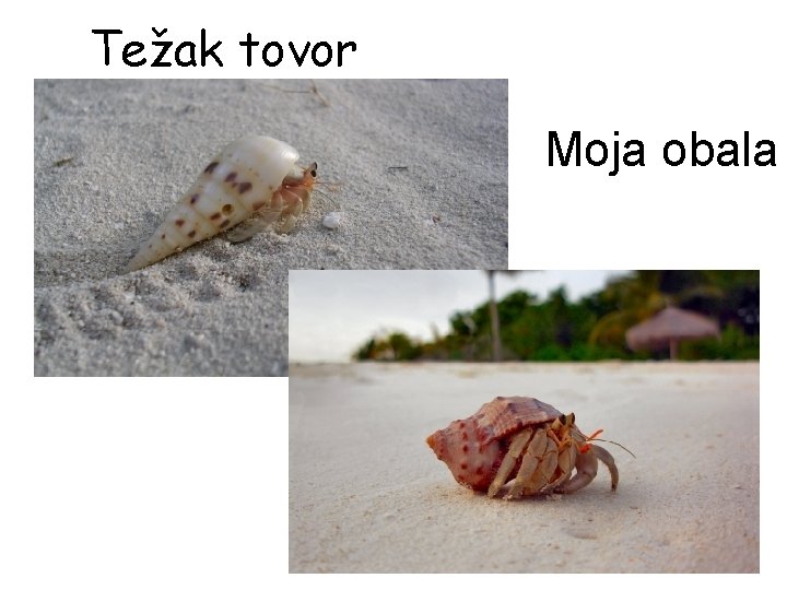 Težak tovor • Moja obala 