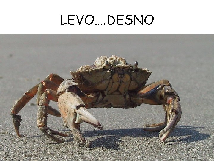 LEVO…. DESNO 