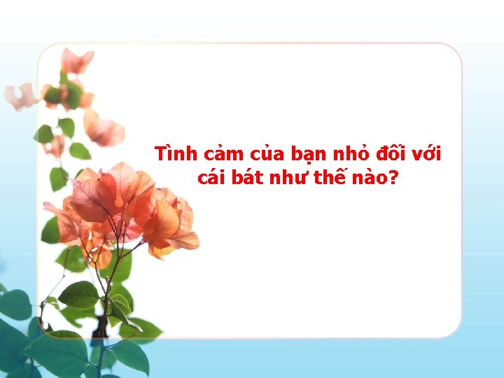 Tình cảm của bạn nhỏ đối với cái bát như thế nào? 