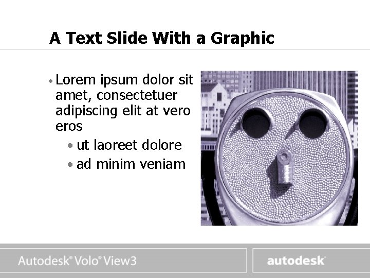 www. autodesk. com A Text Slide With a Graphic • Lorem ipsum dolor sit www. autodesk. com A Text Slide With a Graphic • Lorem ipsum dolor sit
