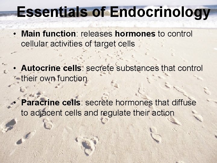 Essentials of Endocrinology • Main function: releases hormones to control cellular activities of target