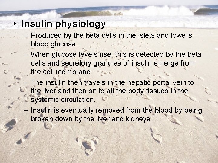  • Insulin physiology – Produced by the beta cells in the islets and