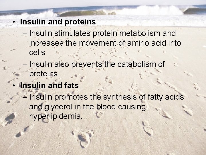  • Insulin and proteins – Insulin stimulates protein metabolism and increases the movement