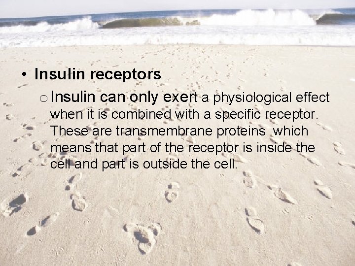  • Insulin receptors o Insulin can only exert a physiological effect when it