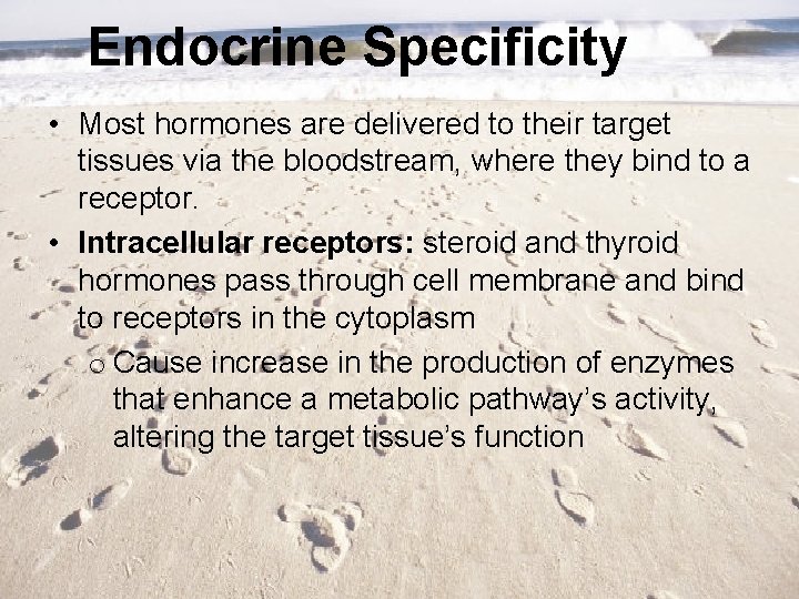 Endocrine Specificity • Most hormones are delivered to their target tissues via the bloodstream,