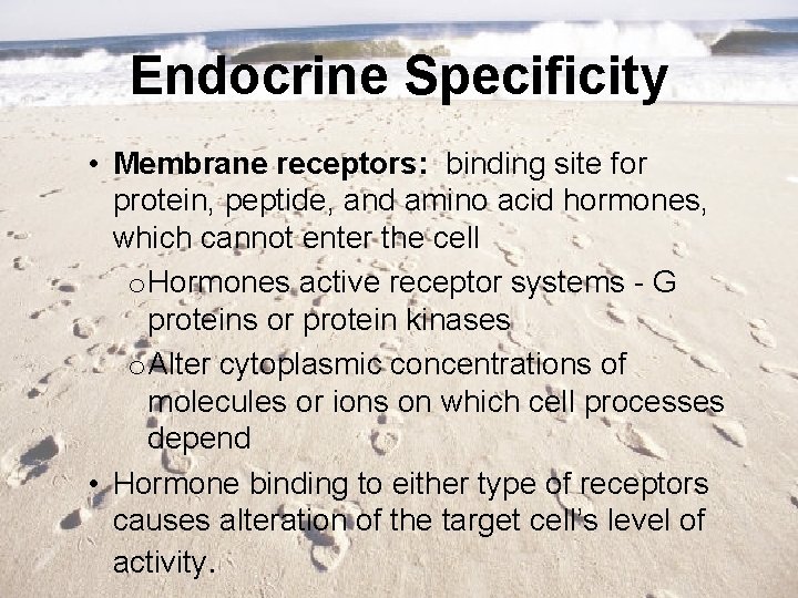 Endocrine Specificity • Membrane receptors: binding site for protein, peptide, and amino acid hormones,