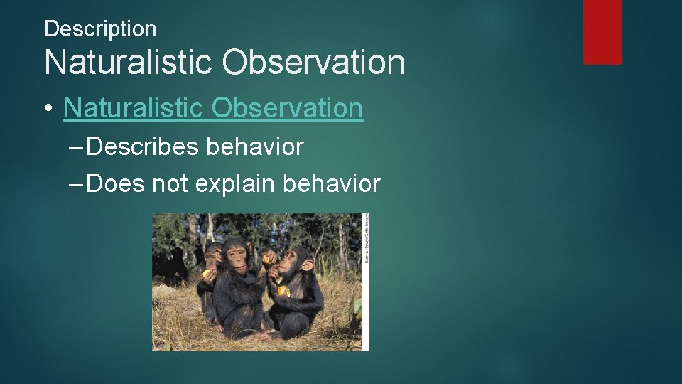 Description Naturalistic Observation • Naturalistic Observation – Describes behavior – Does not explain behavior