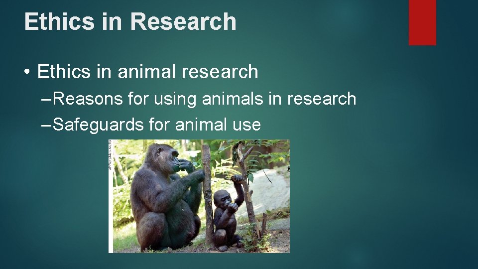 Ethics in Research • Ethics in animal research – Reasons for using animals in