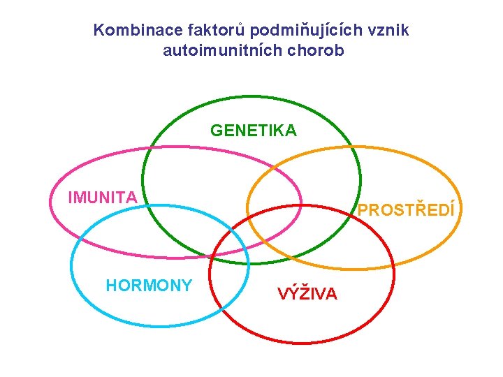 Kombinace faktorů podmiňujících vznik autoimunitních chorob GENETIKA IMUNITA HORMONY PROSTŘEDÍ VÝŽIVA 