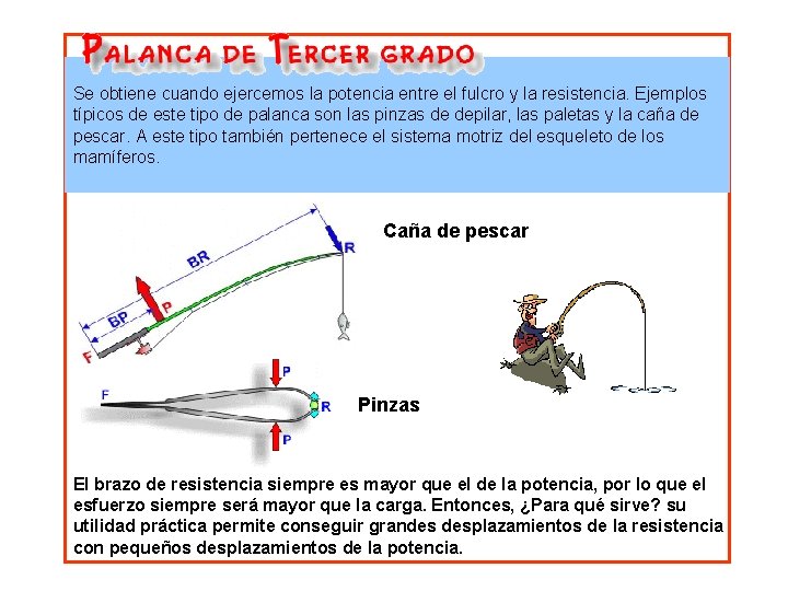 Se obtiene cuando ejercemos la potencia entre el fulcro y la resistencia. Ejemplos típicos