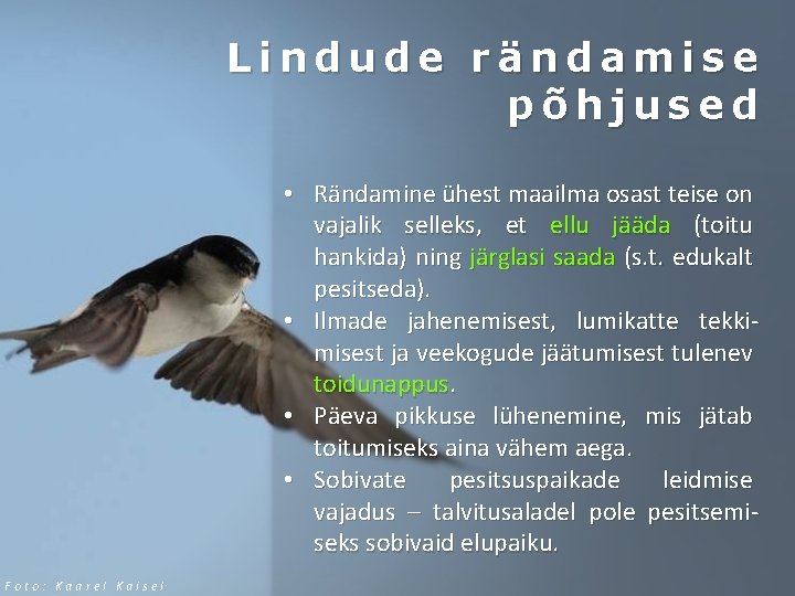 Lindude rändamise põhjused • Rändamine ühest maailma osast teise on vajalik selleks, et ellu