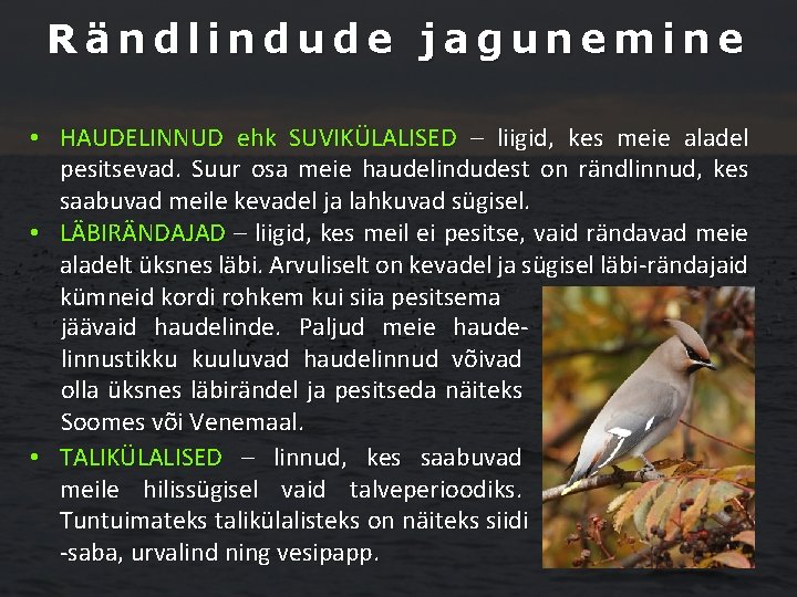 Rändlindude jagunemine • HAUDELINNUD ehk SUVIKÜLALISED – liigid, kes meie aladel pesitsevad. Suur osa