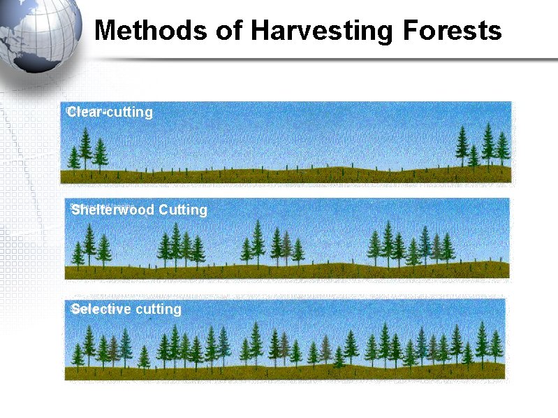 Methods of Harvesting Forests Clear-cutting Shelterwood Cutting Selective cutting 