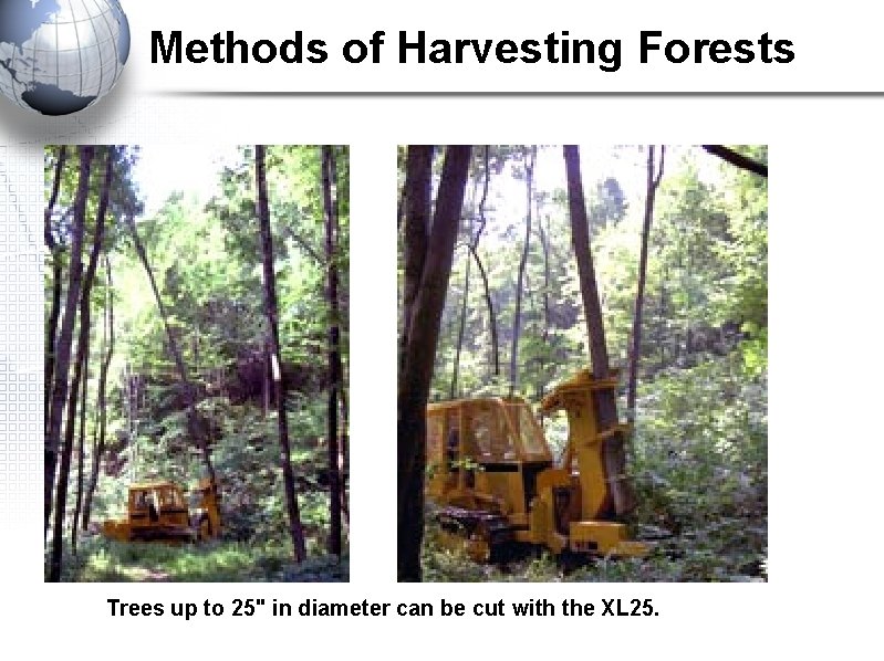 Methods of Harvesting Forests Trees up to 25" in diameter can be cut with