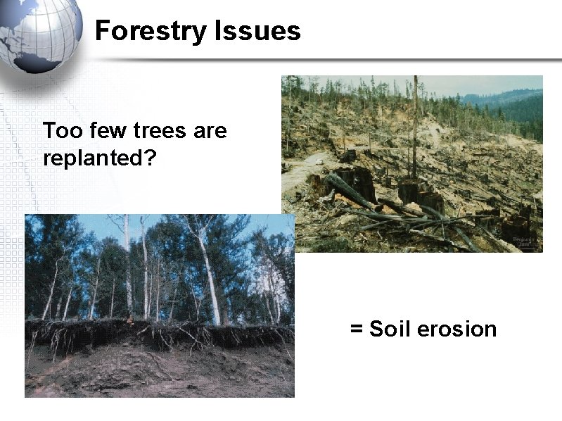 Forestry Issues Too few trees are replanted? = Soil erosion 