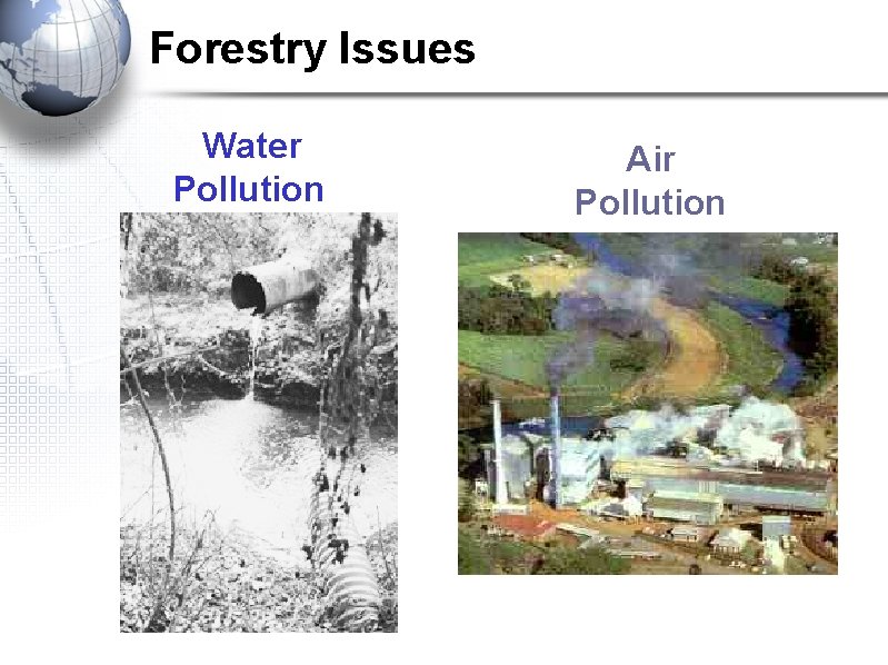 Forestry Issues Water Pollution Air Pollution 