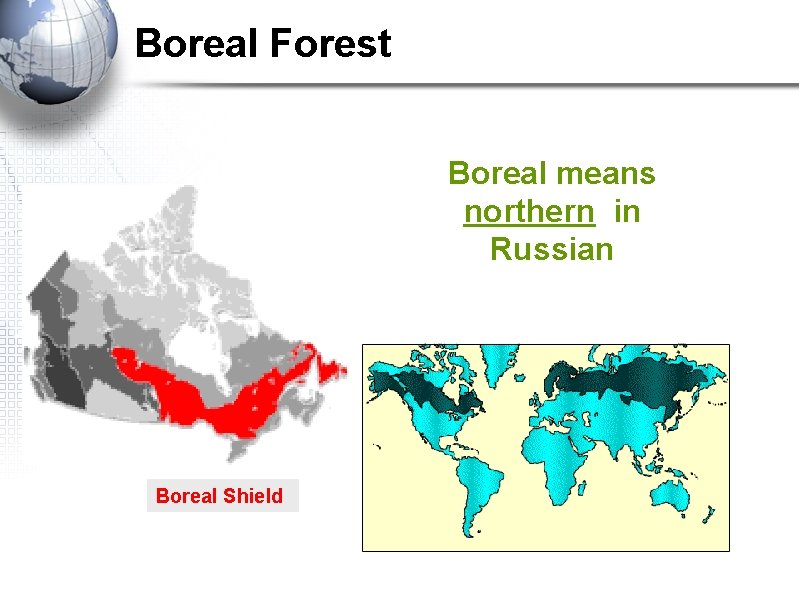 Boreal Forest Boreal means northern in Russian Boreal Shield 