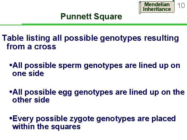 Punnett Square Mendelian Inheritance 10 Table listing all possible genotypes resulting from a cross