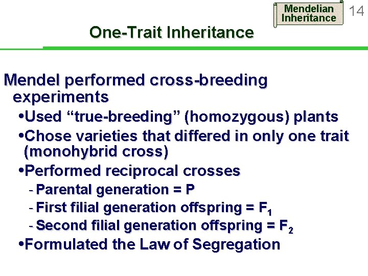 One-Trait Inheritance Mendelian Inheritance 14 Mendel performed cross-breeding experiments Used “true-breeding” (homozygous) plants Chose