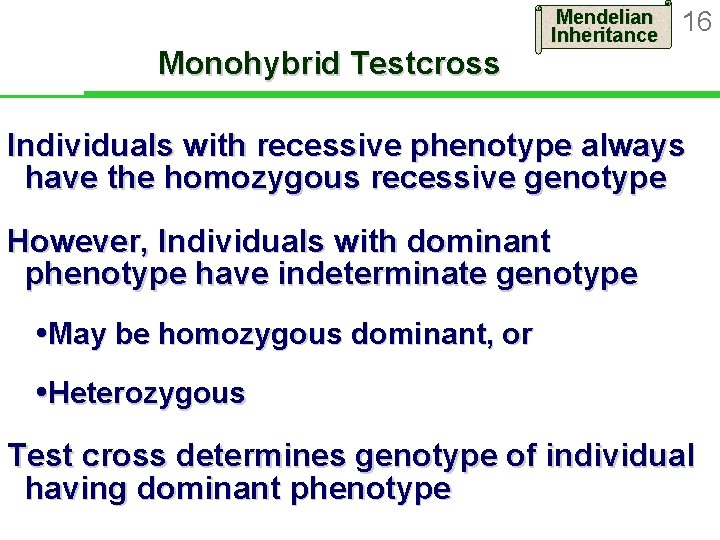 Monohybrid Testcross Mendelian Inheritance 16 Individuals with recessive phenotype always have the homozygous recessive