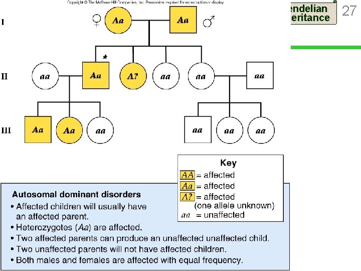 Mendelian Inheritance Figure 11. 12 27 