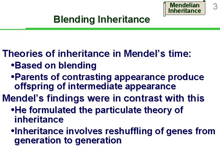 Blending Inheritance Mendelian Inheritance 3 Theories of inheritance in Mendel’s time: Based on blending