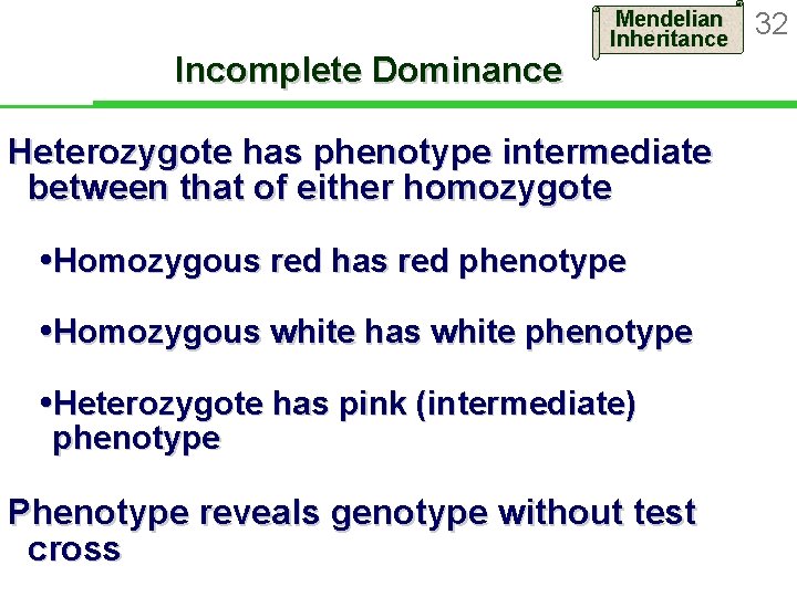 Incomplete Dominance Mendelian Inheritance Heterozygote has phenotype intermediate between that of either homozygote Homozygous Incomplete Dominance Mendelian Inheritance Heterozygote has phenotype intermediate between that of either homozygote Homozygous