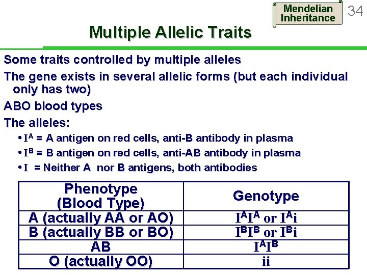 Multiple Allelic Traits Mendelian Inheritance 34 Some traits controlled by multiple alleles The gene