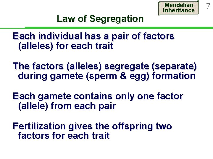 Law of Segregation Mendelian Inheritance Each individual has a pair of factors (alleles) for Law of Segregation Mendelian Inheritance Each individual has a pair of factors (alleles) for