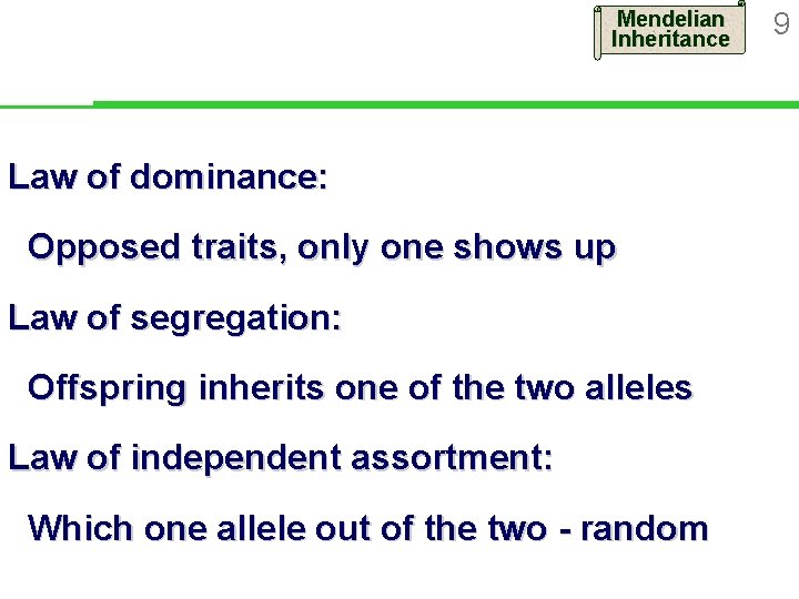 Mendelian Inheritance Law of dominance: Opposed traits, only one shows up Law of segregation: