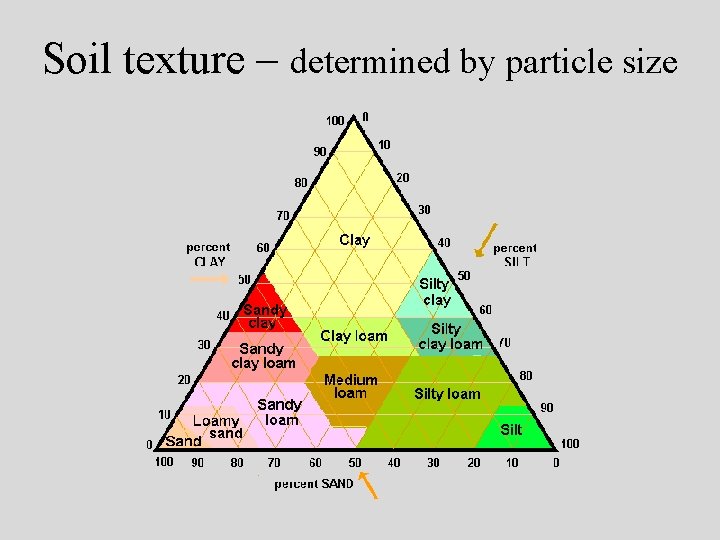 Soil texture – determined by particle size 