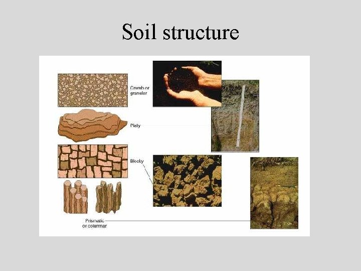 Soil structure 