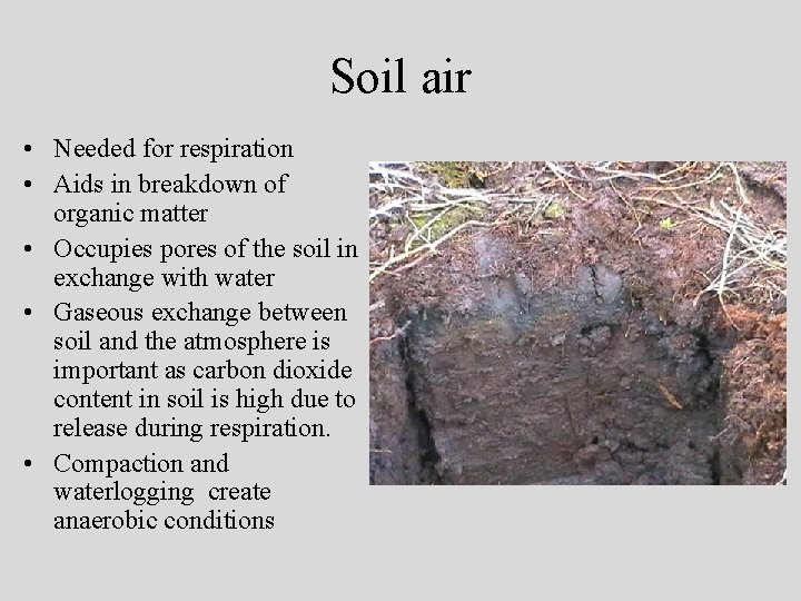 Soil air • Needed for respiration • Aids in breakdown of organic matter •