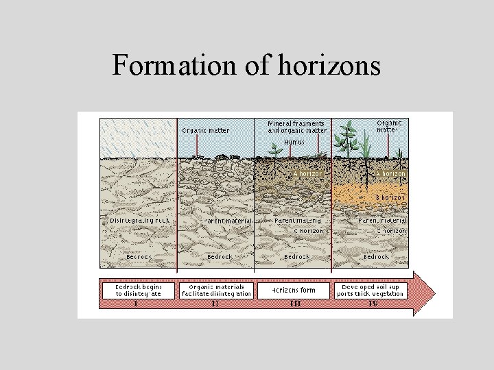 Formation of horizons 