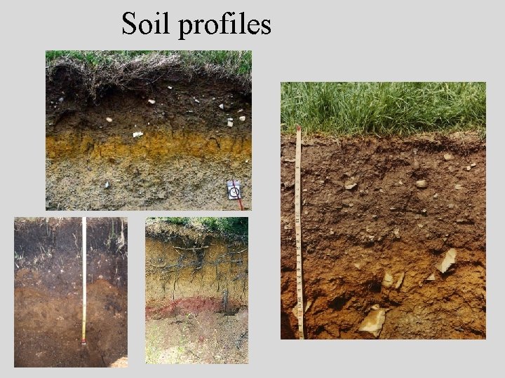 Soil profiles 