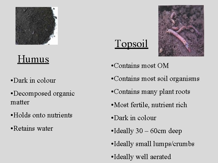 Topsoil Humus • Contains most OM • Dark in colour • Contains most soil