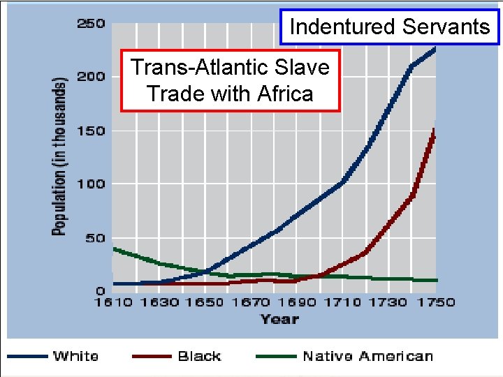 Indentured Servants White & Black Migration to VA Trans-Atlantic Slave Trade with Africa The