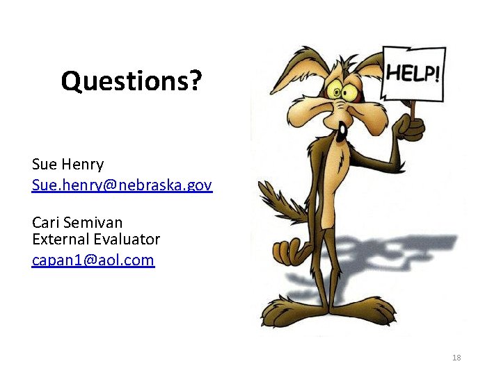 Questions? Sue Henry Sue. henry@nebraska. gov Cari Semivan External Evaluator capan 1@aol. com 18