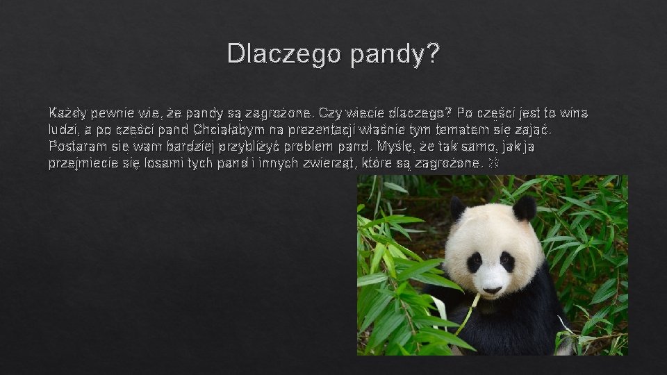 Dlaczego pandy? Każdy pewnie wie, że pandy są zagrożone. Czy wiecie dlaczego? Po części