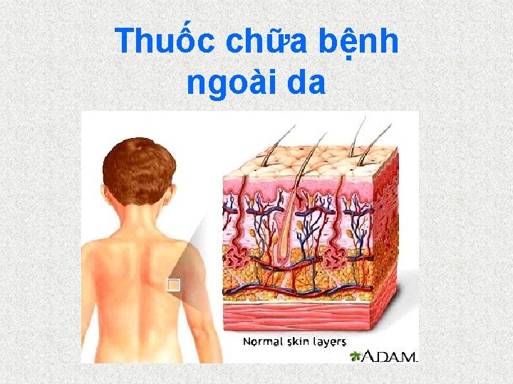 Thuốc chữa bệnh ngoài da 