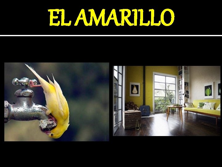 EL AMARILLO 