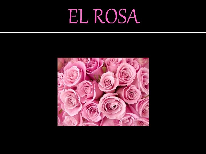 EL ROSA 