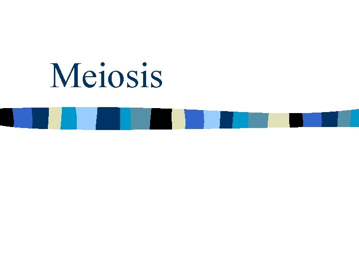 Meiosis 