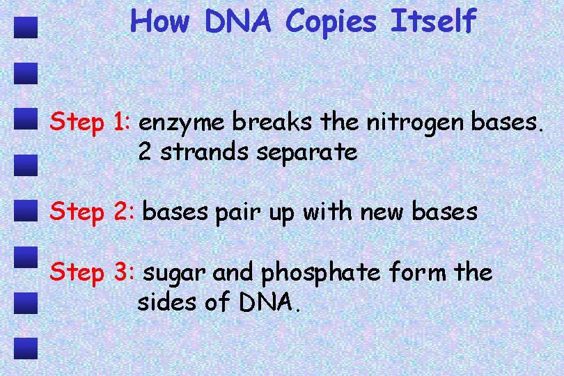 How DNA Copies Itself Step 1: enzyme breaks the nitrogen bases. 2 strands separate