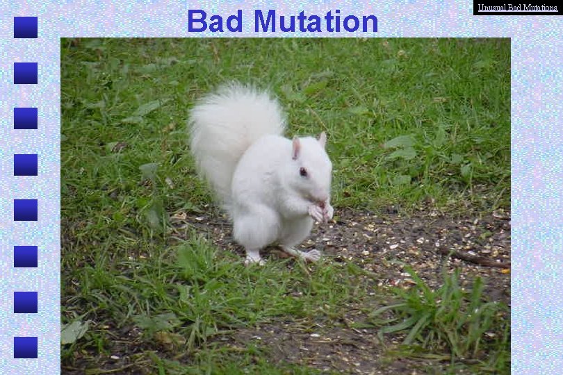 Bad Mutation Unusual Bad Mutations 