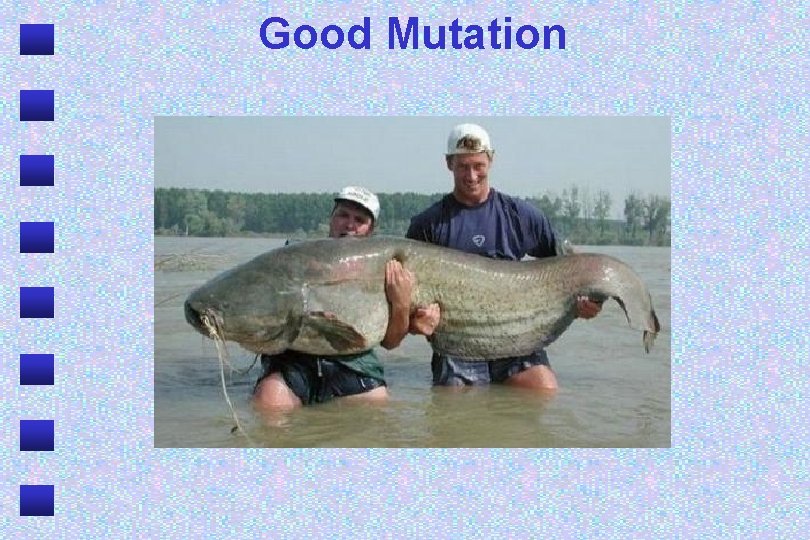 Good Mutation 