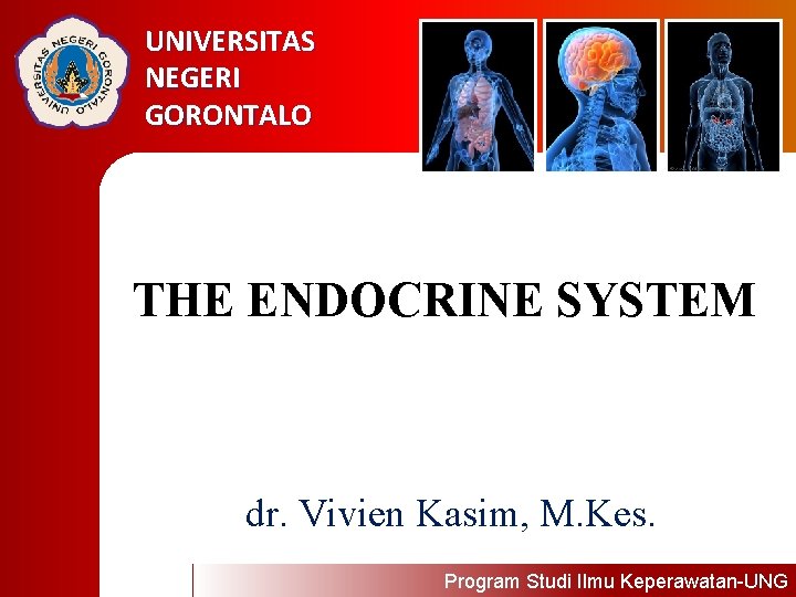 UNIVERSITAS NEGERI GORONTALO THE ENDOCRINE SYSTEM dr. Vivien Kasim, M. Kes. Program Studi Ilmu