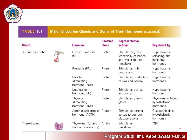 Click to edit Master Click totitle editstyle Master title style Program Studi Ilmu Keperawatan-UNG