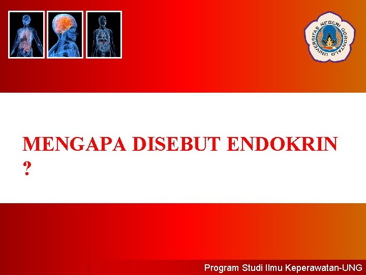 MENGAPA DISEBUT ENDOKRIN ? Program Studi Ilmu Keperawatan-UNG 