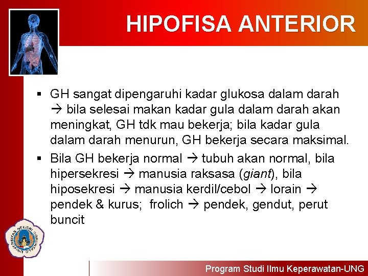 HIPOFISA ANTERIOR § GH sangat dipengaruhi kadar glukosa dalam darah bila selesai makan kadar